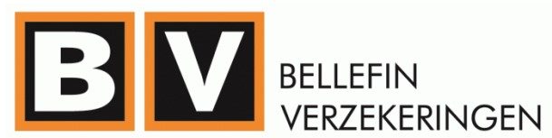 logo-Bellefin